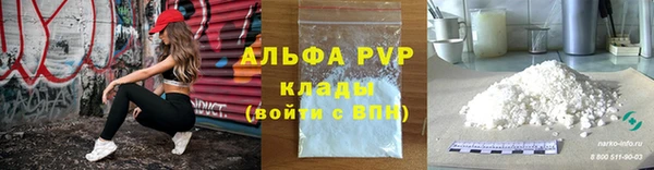 молекула духа Бородино
