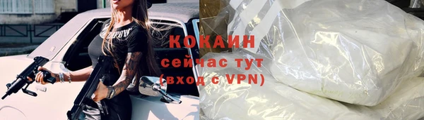молекула духа Бородино