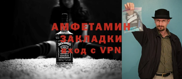 молекула духа Бородино