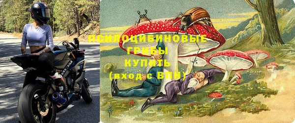 бошки Богородицк