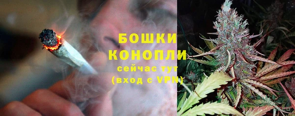 молекула духа Бородино
