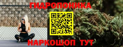 МДПВ Можга