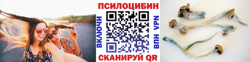 Галлюциногенные грибы мухоморы наркотики Гай
