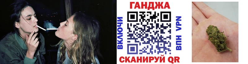 Канабис планчик  Гай 
