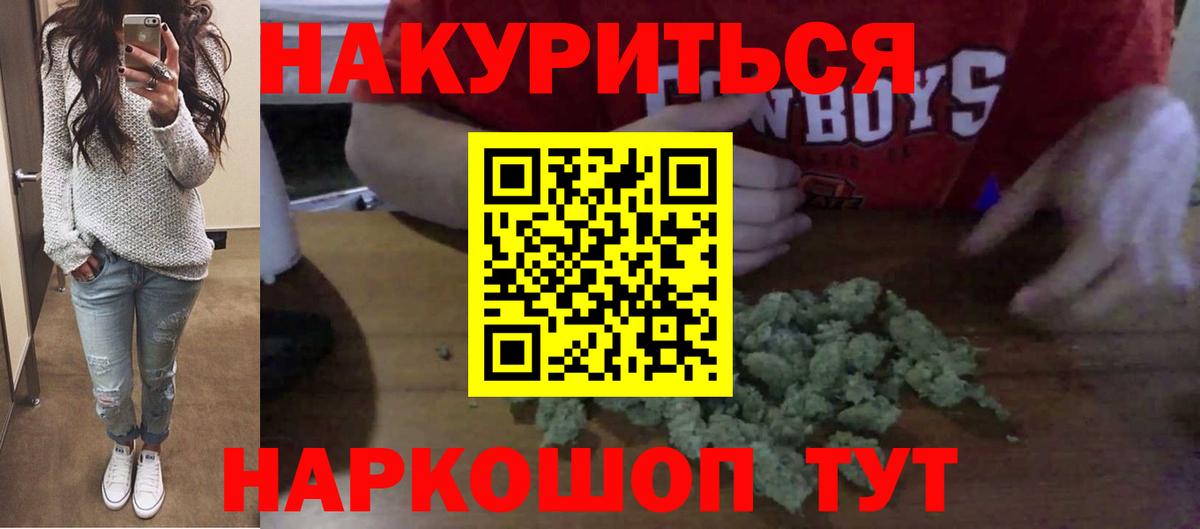 Конопля сатива Гай